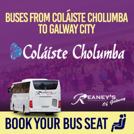 Bus for Visiting Sunday - Coláiste Cholumba 2025