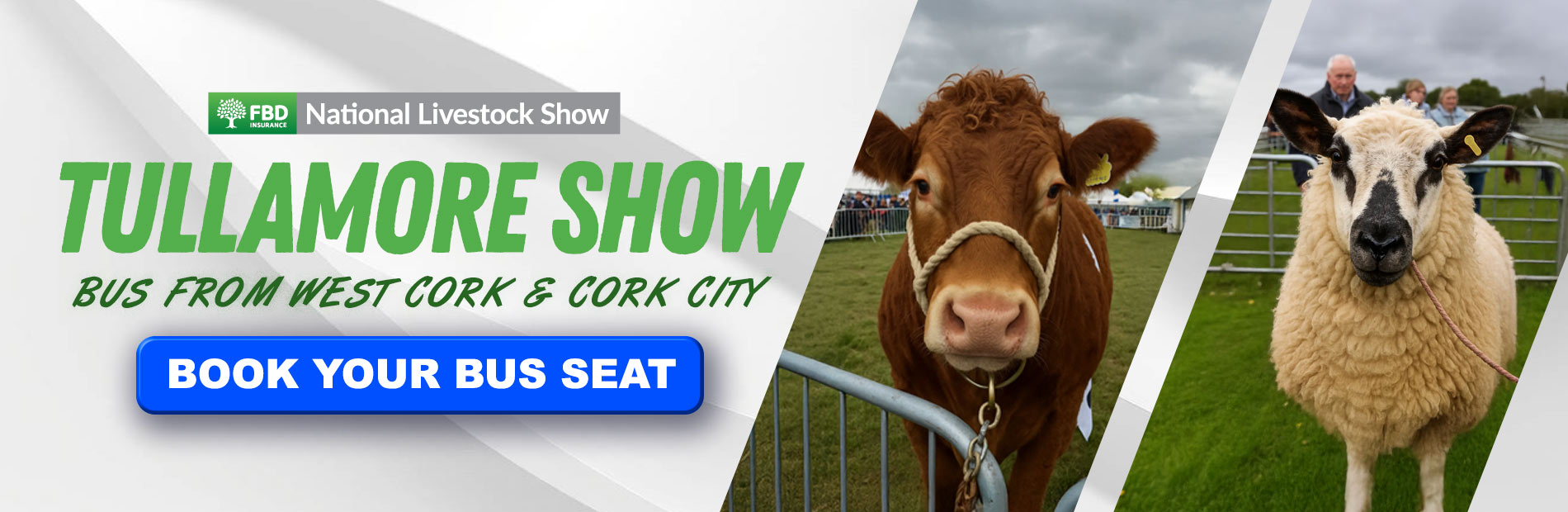 Bus to Tullamore Show 2025